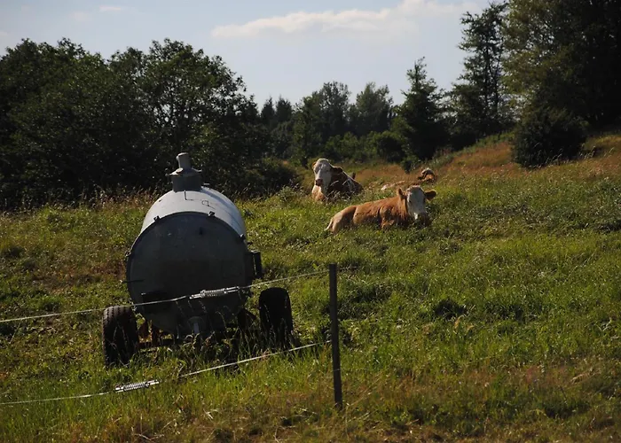Ilke Герсфельд