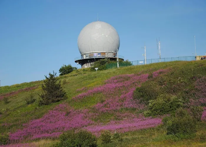 Апартаменты Ilke